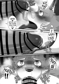 Page 43
