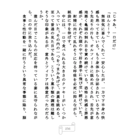 Page 256
