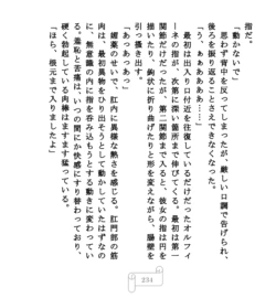 Page 234
