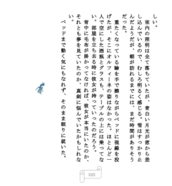 Page 325
