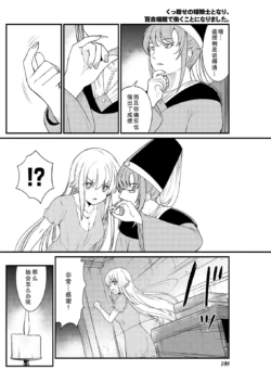 Page 219