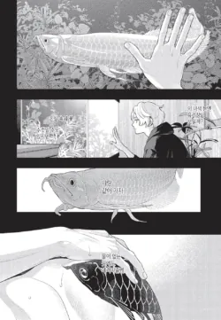 Page 217