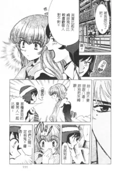 Page 111