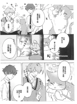 Page 243