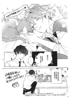 Page 244