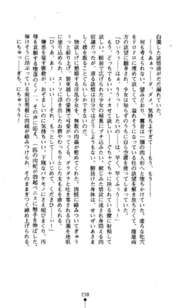 Page 240