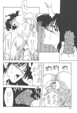 Page 101