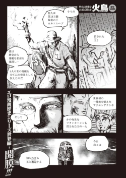 Page 333
