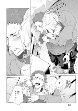 Page 246