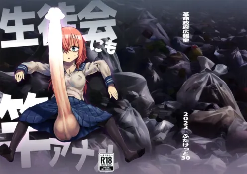 (Futaket 30) [Kakumei Seifu Kouhoushitsu (Radiohead)] Seito-kai ni mo sao anaru! (Seitokai ni mo Ana wa Aru!)