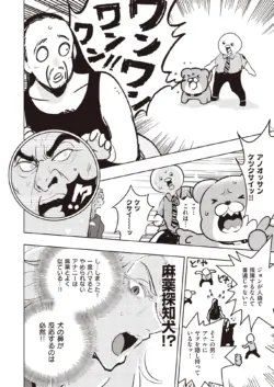 Page 261