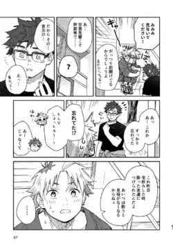 Page 86
