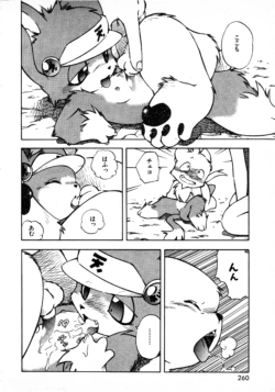 Page 255