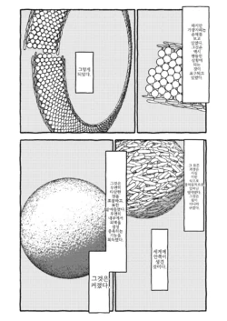 Page 233