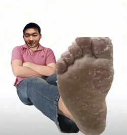 猫咪的蛋蛋的脚趾气味