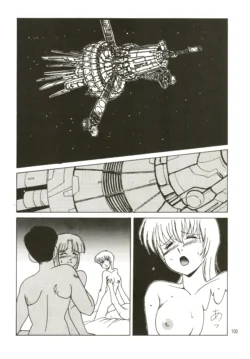 Page 101