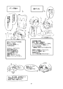 Page 66