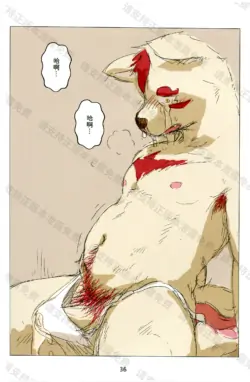 Page 35