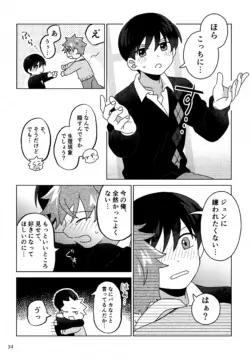 Page 35