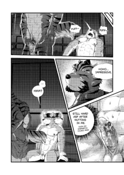 Page 245
