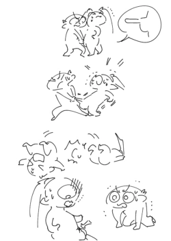 Page 259