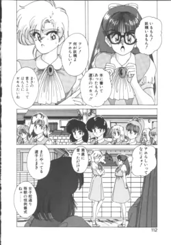 Page 111