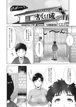 Page 243