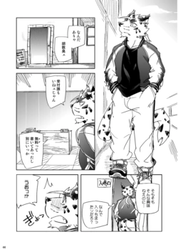 Page 43