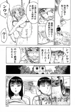 Page 113