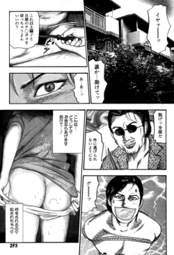 Page 293