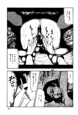 Page 161