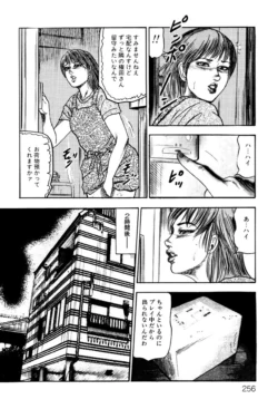 Page 256