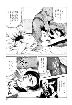 Page 87