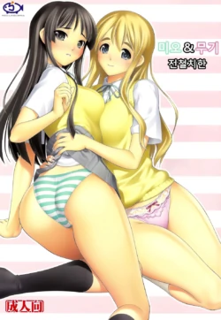(C78) [Hellabunna (Iruma kamiri)] MIO-MUGi Densya Chikan | 미오 & 무기 전철치한 (K-ON!) [Korean]