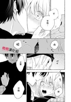 Page 517