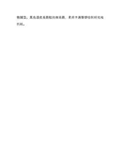 Page 217
