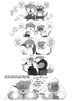 Page 43
