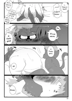 Page 33