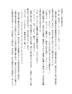 Page 258