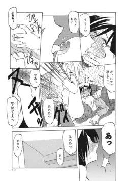 Page 113