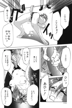 Page 113