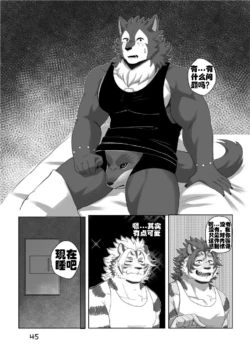 Page 45