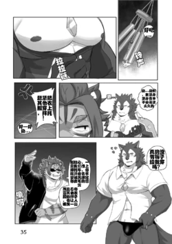 Page 35