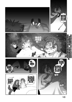 Page 48