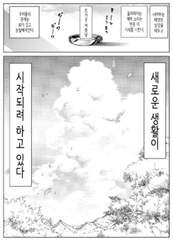 Page 429
