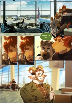 Page 343