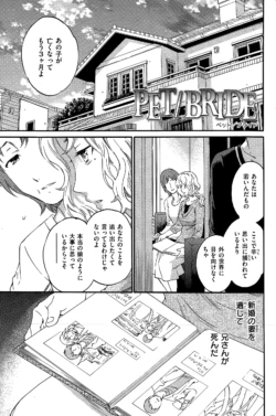 Page 237