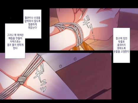 Page 523