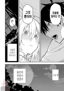Page 291