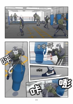 Page 311